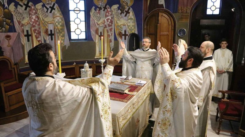 The Power of Pastoral Courses